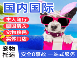 宜昌三峡航空空运国际宠物托运 【国